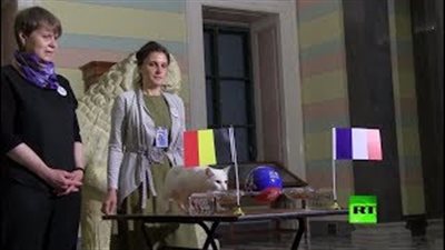 عراف كأس العالم يتنبأ بفوز بلجيكا على فرنسا (فيديو)