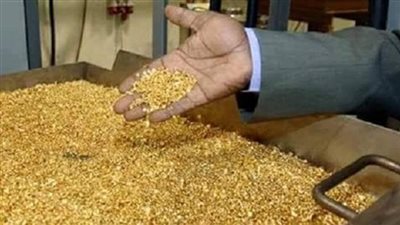 اليوم.. شحن 366 كيلو ذهب من منجم السكري بمطار القاهرة إلى كندا