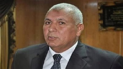 لجنة لوضع تصور لمدينة الخارجة الجديدة