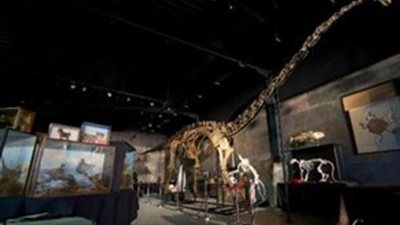 400 ألف جنيه ثمن 