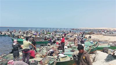 منع صيد الأسماك في بحيرة البردويل ٤ أشهر .. تعرف على السبب