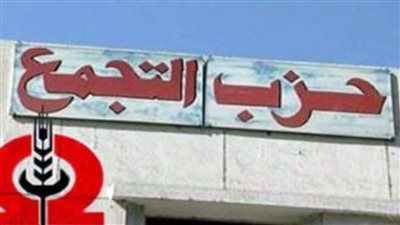 سيد عبد العال: أزمات المواطن سببها عدم وجود مجالس محلية