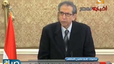 بالفيديو.. رفعت السعيد: قانون التظاهر به أخطاء