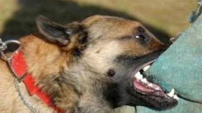 ضحية فيديو التعذيب بالكلاب في حلوان: «دي كانت حفلة»