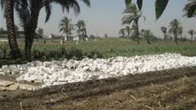 إزالة 78 حالة تعدٍّ على الأراضى الزراعية.. بالتل الكبير