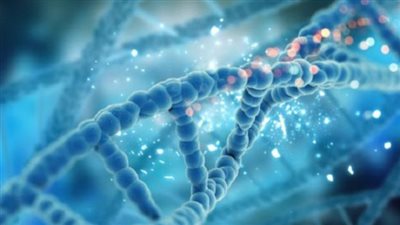 طبيب أمريكي: مرض السرطان غير مرتبط بجينات وراثية أو بالبيئة