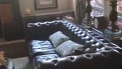 رد فعل كلب قلب مطبخ صاحبه رأسا على عقب (فيديو وصور)