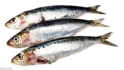 دراسة: «السلمون والسردين» يحميان من «الصمم» عند الكبر