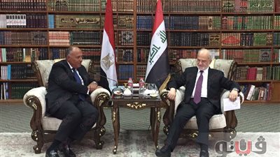 وزير الخارجية يبحث مع نظيره العراقي التطورات السورية والأزمة القطرية