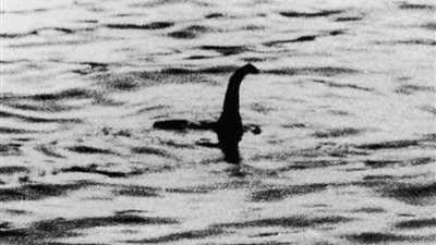 بالصور.. العثور على مخلوق غامض يشبه الديناصور في اسكتلندا