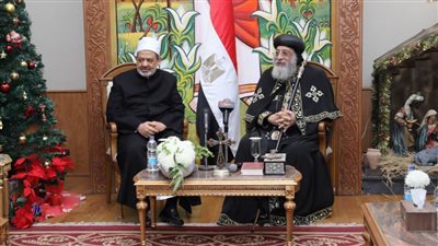 شيخ الأزهر يحذر من الاتفاقيات الغربية لتفكيك المجتمع الشرقي