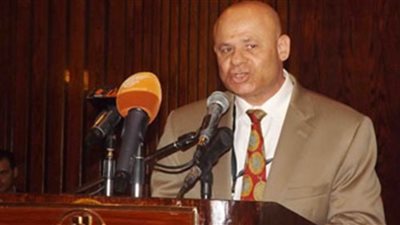 منسق المصريين في الخارج: حق التظاهر السلمي مكفول ولكن بشروط