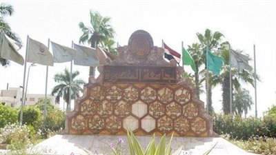 خبير قانوني: الهدف من قانون التظاهر عدم تعطيل حركة الإنتاج