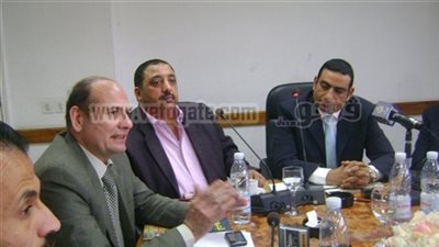 عضو غرفة صناعة الحبوب: إنتاجية مصر من القمح 