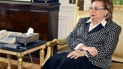 نتائج إيجابية للقاء الجانب المصري بمبعوث الاتحاد الأوربي