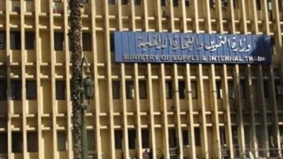 «التموين»: احتياطي القمح يكفي حتى الأسبوع الأول من فبراير المقبل