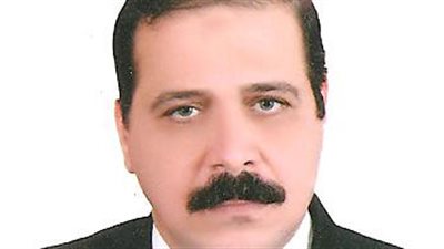 استشارى يتوقع زيادة طعون المواطنين على لجان الضريبة العقارية