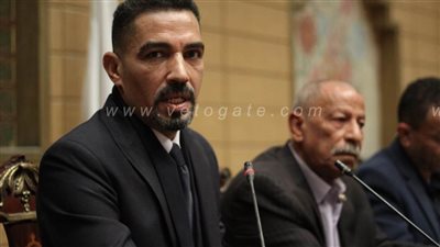 أيمن عبد التواب: 