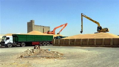 تونس تشتري 100 ألف طن قمح صلد في مناقصة