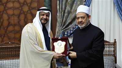 شيخ الأزهر: مستعدون للتعاون مع مؤسسة زايد لدعم القارة الأفريقية