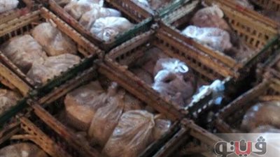 بالصور.. ضبط طن لحوم فاسدة بمطعم شهير في مدينة نصر