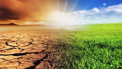 دراسة: تغير المناخ يمكن أن يغير بكتيريا رئيسية في المحيطات