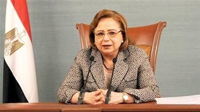 «الأهواني»: مصر تعود بقوة إلى الساحة الأفريقية