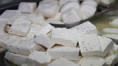 ضبط 750 كيلو جبن منتهية الصلاحية في مصنعين بالجيزة