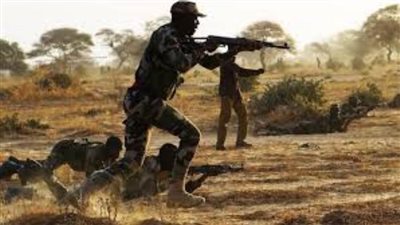 مقتل 14 جنديا فى هجوم إرهابي غربي النيجر