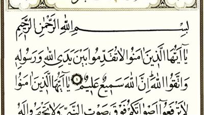 فوائد سورة الحجرات