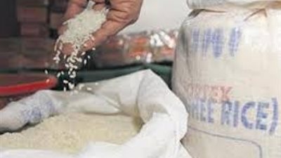 الحكومة تسمح بتصدير مليون طن أرز بشروط