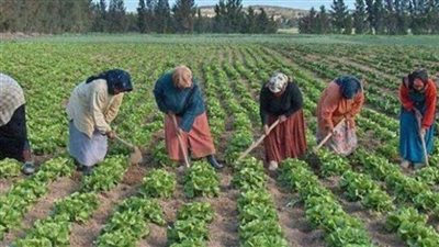 هذا ما جناه أبي عليّ.. قاصرات قنا يروين مأساتهن مع زواج 