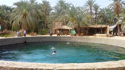 برلماني يتقدم بطلب إحاطة عن تلوث البحيرات الكبريتية في حلوان