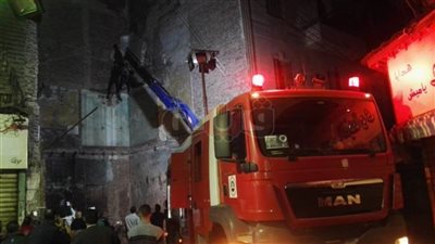 كلاكيت ثالث مرة.. الحماية المدنية تنقذ قطة تسلقت نخلة بالشرقية | فيديو