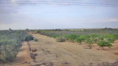 رئيس تحرير الأهرام التعاوني: طريقة تقنين أراضي الدولة تكرس للفساد