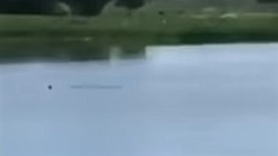 بالفيديو والصور.. مراهقون يشاهدون رجلا يغرق دون مساعدته