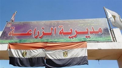 قروض ميسرة للمزارعين لمشروعات تسمين العجول في الوادي الجديد