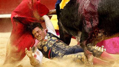 بالفيديو والصور.. ثور يخدع مصارعا ويصيبه ببراعة