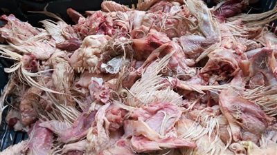 ضبط 2 طن دواجن ولحوم فاسدة في حملة بالخانكة