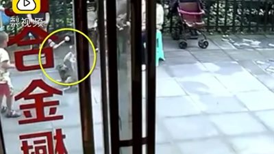 لحظة هجوم كلب ضال على طفلة وإصابتها في وجهها (فيديو)