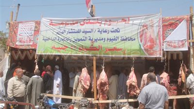 بالفيديو والصور.. توسعات في منافذ بيع اللحوم المدعمة بالفيوم