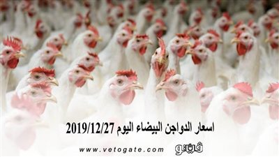 اسعار الدواجن البيضاء اليوم 2019/12/27