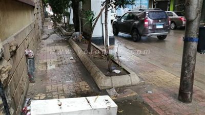 حصيلة خسائر نوة الفيضة الصغرى بالإسكندرية | صور