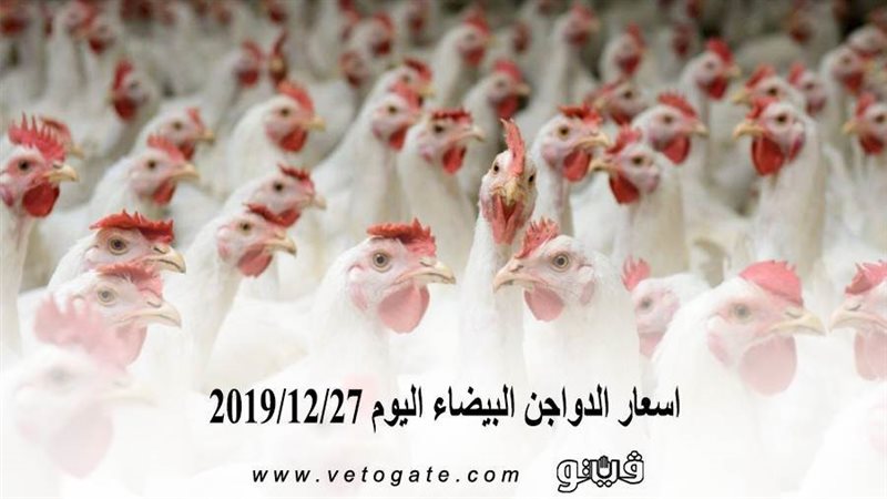 فيتو