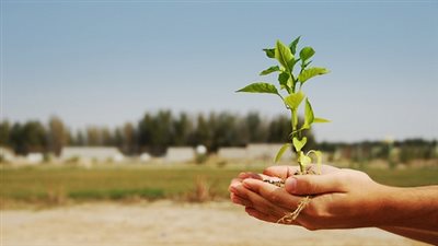 علمى طفلك العطاء.. يتعلم التوفير