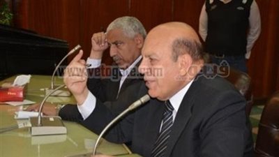 محافظ قنا: تم صرف جميع المقررات التموينية بنسبة 100%