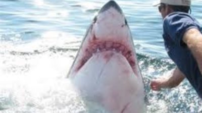 مصرع شاب هاجمه 