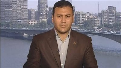 رئيس مركز القاهرة للدراسات السياسية: أحمد عز يمد المرشحين بالأموال