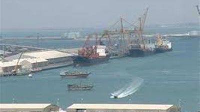 وصول 9500 طن بوتاجاز و2100 رأس إبل لموانئ السويس