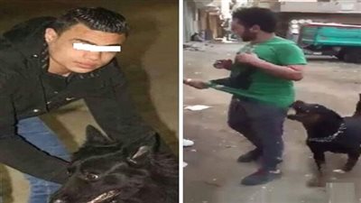 محام: صاحب كلب بولاق الدكرور يواجه عقوبة الحبس 3 سنوات